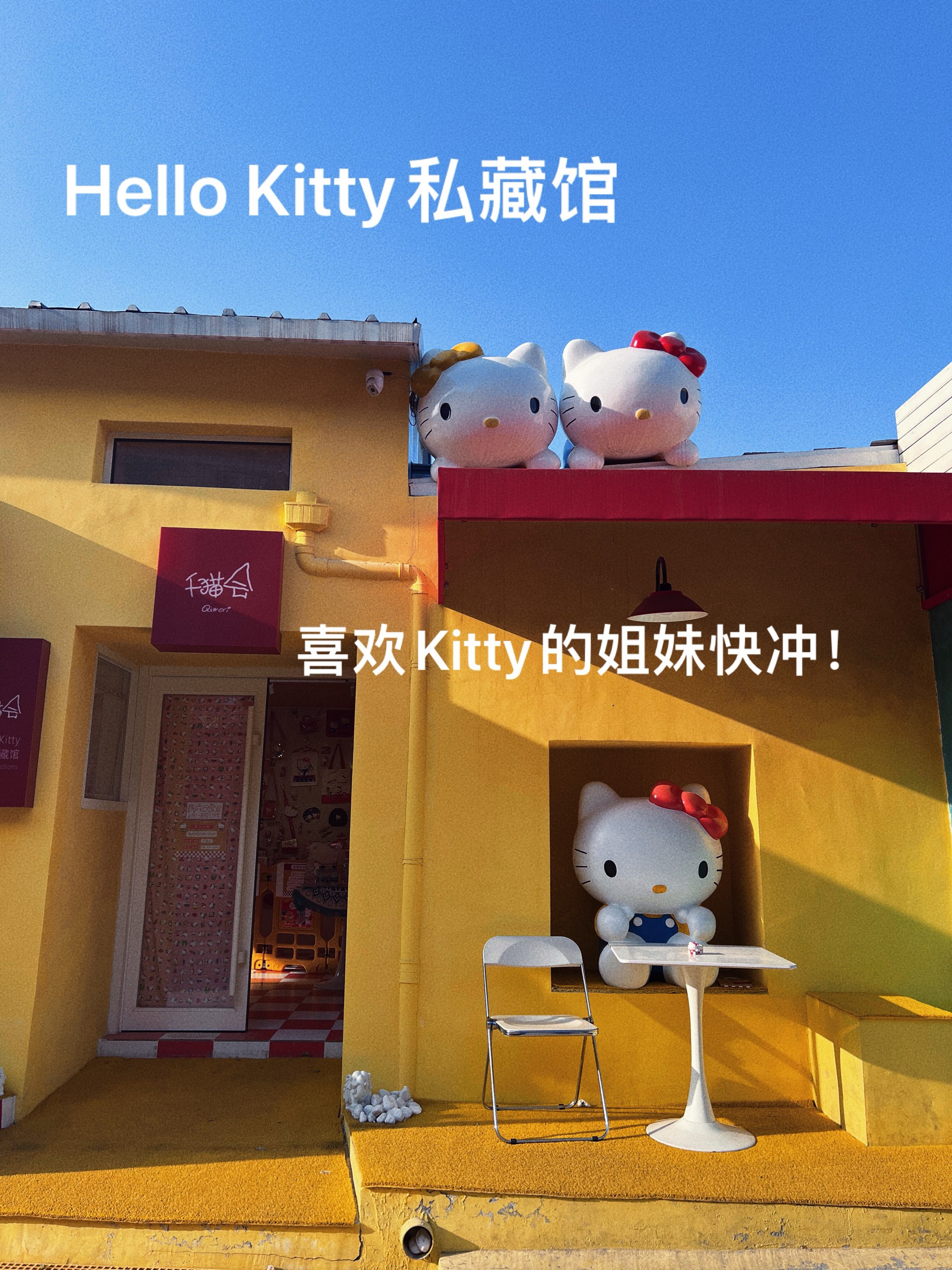 kittylive安卓版kmplayer安卓版中文版