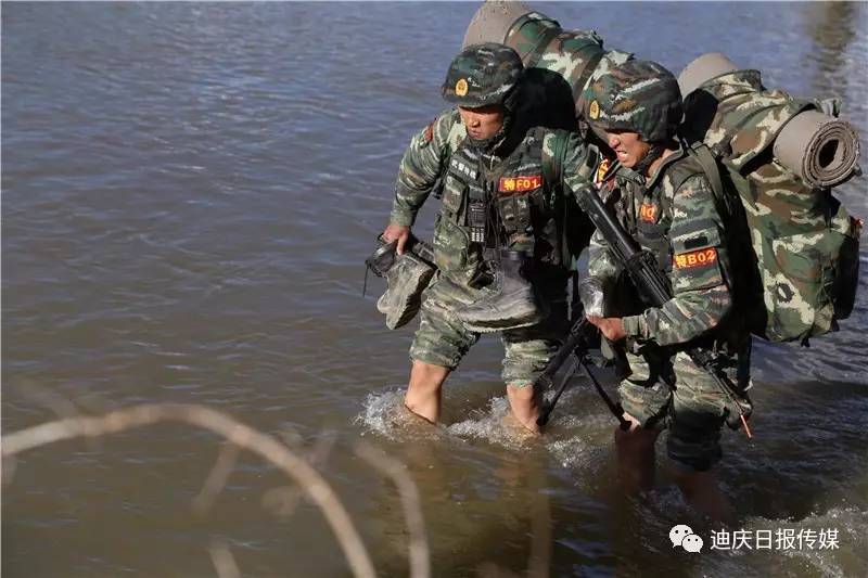 迪庆日报客户端云南迪庆食用菌加速出海-第2张图片-太平洋在线下载